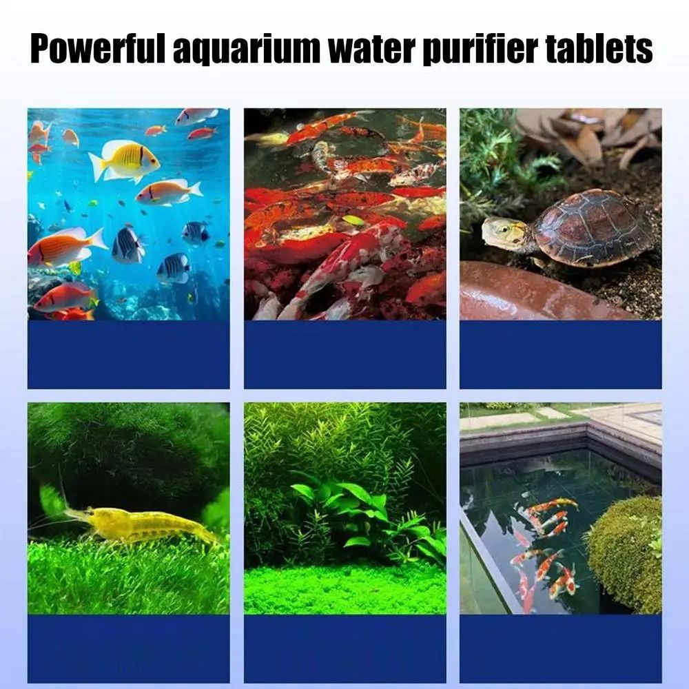 Water Purification Tablet - Powerful Water Purification Tablets Odor Remover