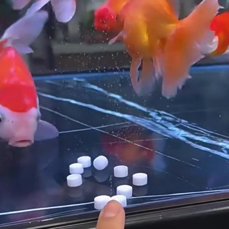Aquarium Water Purification Ta - Water Purification Tablet ulasan dan harga