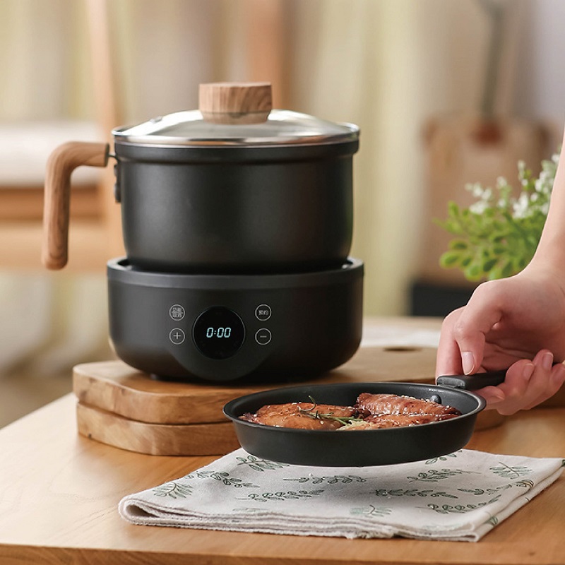 110V/220V Multi-function Elect - Camping Cooking Rice ulasan dan harga