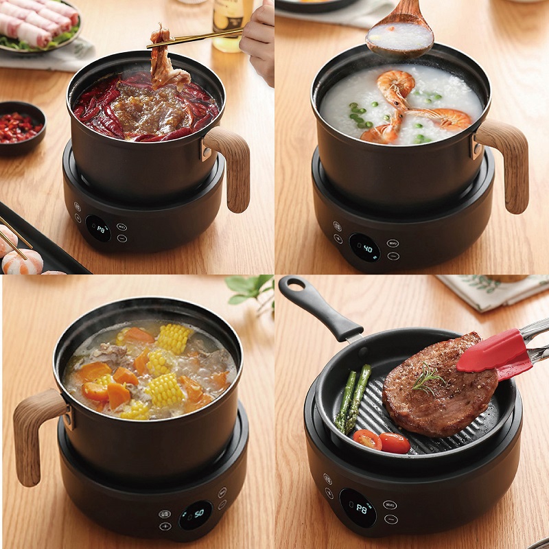 110V/220V Multi-function Elect - Camping Cooking Rice ulasan dan harga