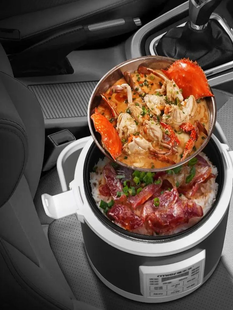 ARIER 12-24V 220V Rice Cooker  - Camping Cooking Rice ulasan dan harga