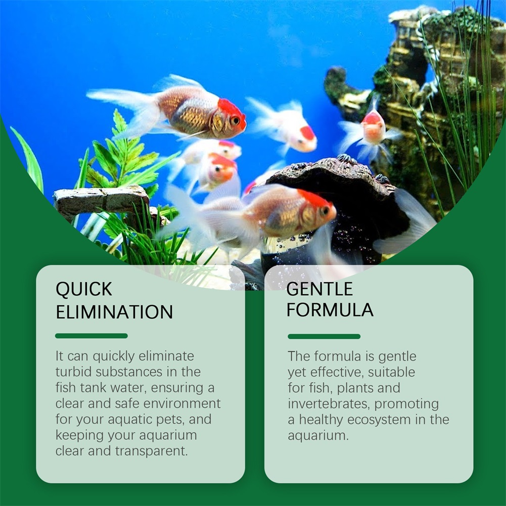 Water Purification Tablets Eco - Water Purification Tablet ulasan dan harga